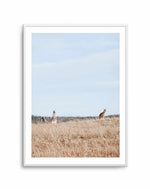 Country Kangaroo I Art Print-PRINT-Olive et Oriel-Olive et Oriel-A5 | 5.8" x 8.3" | 14.8 x 21cm-Unframed Art Print-With White Border-Buy-Australian-Art-Prints-Online-with-Olive-et-Oriel-Your-Artwork-Specialists-Austrailia-Decorate-With-Coastal-Photo-Wall-Art-Prints-From-Our-Beach-House-Artwork-Collection-Fine-Poster-and-Framed-Artwork