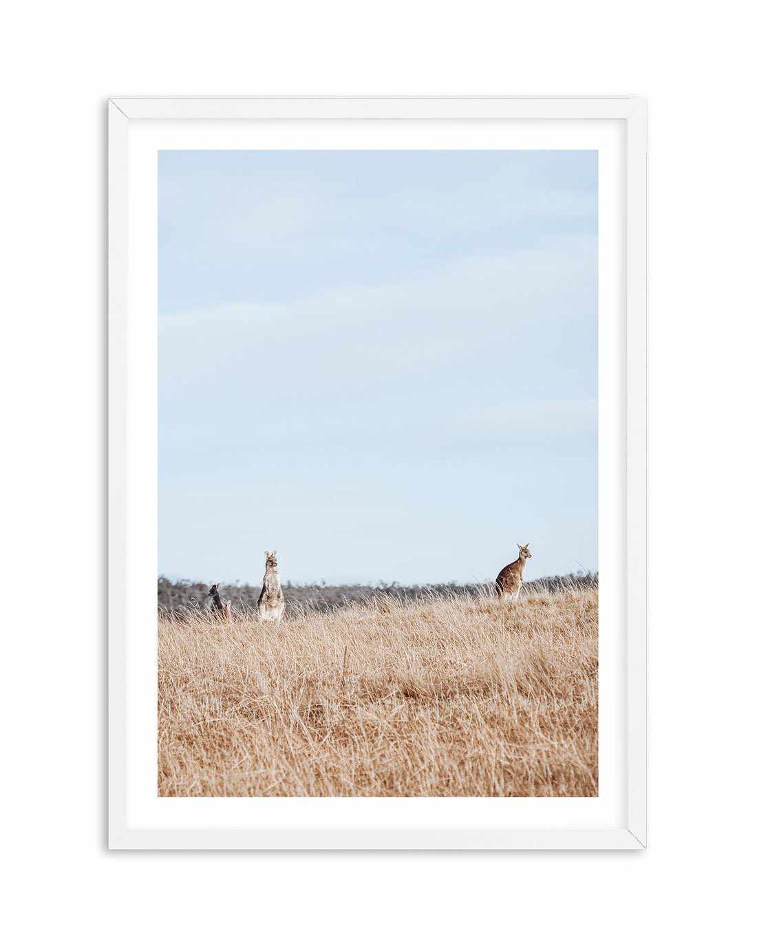 Country Kangaroo I Art Print-PRINT-Olive et Oriel-Olive et Oriel-A5 | 5.8" x 8.3" | 14.8 x 21cm-White-With White Border-Buy-Australian-Art-Prints-Online-with-Olive-et-Oriel-Your-Artwork-Specialists-Austrailia-Decorate-With-Coastal-Photo-Wall-Art-Prints-From-Our-Beach-House-Artwork-Collection-Fine-Poster-and-Framed-Artwork