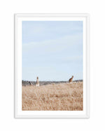 Country Kangaroo I Art Print-PRINT-Olive et Oriel-Olive et Oriel-A5 | 5.8" x 8.3" | 14.8 x 21cm-White-With White Border-Buy-Australian-Art-Prints-Online-with-Olive-et-Oriel-Your-Artwork-Specialists-Austrailia-Decorate-With-Coastal-Photo-Wall-Art-Prints-From-Our-Beach-House-Artwork-Collection-Fine-Poster-and-Framed-Artwork