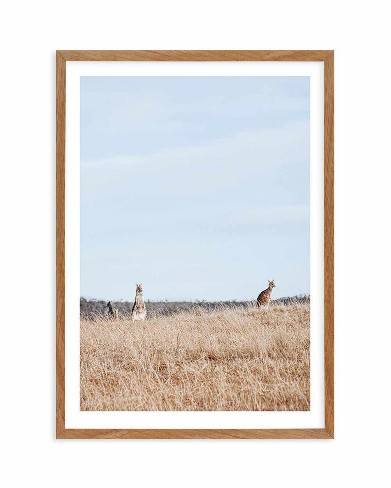 Country Kangaroo I Art Print-PRINT-Olive et Oriel-Olive et Oriel-50x70 cm | 19.6" x 27.5"-Walnut-With White Border-Buy-Australian-Art-Prints-Online-with-Olive-et-Oriel-Your-Artwork-Specialists-Austrailia-Decorate-With-Coastal-Photo-Wall-Art-Prints-From-Our-Beach-House-Artwork-Collection-Fine-Poster-and-Framed-Artwork
