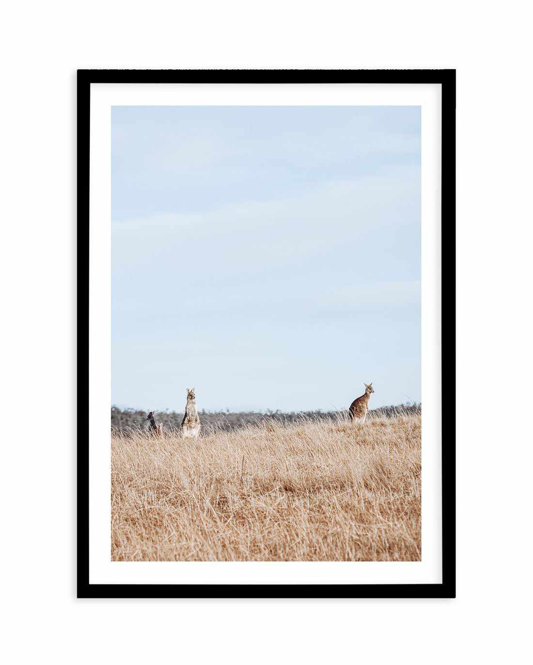 Country Kangaroo I Art Print-PRINT-Olive et Oriel-Olive et Oriel-A5 | 5.8" x 8.3" | 14.8 x 21cm-Black-With White Border-Buy-Australian-Art-Prints-Online-with-Olive-et-Oriel-Your-Artwork-Specialists-Austrailia-Decorate-With-Coastal-Photo-Wall-Art-Prints-From-Our-Beach-House-Artwork-Collection-Fine-Poster-and-Framed-Artwork