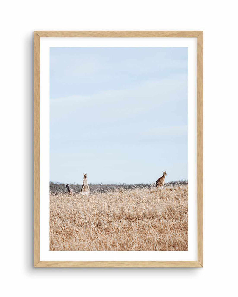 Country Kangaroo I Art Print-PRINT-Olive et Oriel-Olive et Oriel-A5 | 5.8" x 8.3" | 14.8 x 21cm-Oak-With White Border-Buy-Australian-Art-Prints-Online-with-Olive-et-Oriel-Your-Artwork-Specialists-Austrailia-Decorate-With-Coastal-Photo-Wall-Art-Prints-From-Our-Beach-House-Artwork-Collection-Fine-Poster-and-Framed-Artwork