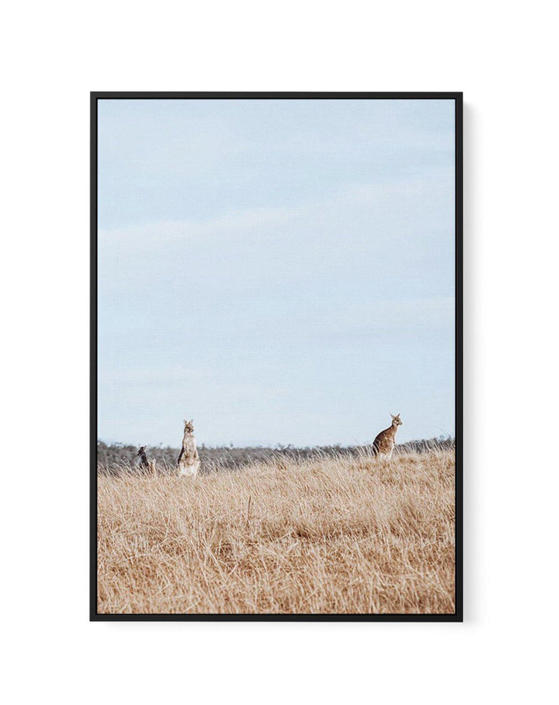 Country Kangaroo I | Framed Canvas-CANVAS-You can shop wall art online with Olive et Oriel for everything from abstract art to fun kids wall art. Our beautiful modern art prints and canvas art are available from large canvas prints to wall art paintings and our proudly Australian artwork collection offers only the highest quality framed large wall art and canvas art Australia - You can buy fashion photography prints or Hampton print posters and paintings on canvas from Olive et Oriel and have th