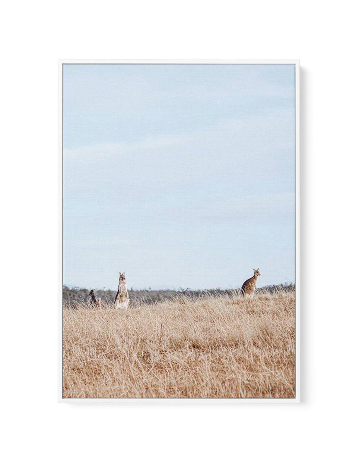 Country Kangaroo I | Framed Canvas-CANVAS-You can shop wall art online with Olive et Oriel for everything from abstract art to fun kids wall art. Our beautiful modern art prints and canvas art are available from large canvas prints to wall art paintings and our proudly Australian artwork collection offers only the highest quality framed large wall art and canvas art Australia - You can buy fashion photography prints or Hampton print posters and paintings on canvas from Olive et Oriel and have th