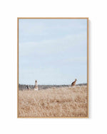 Country Kangaroo I | Framed Canvas Art Print