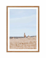 Country Kangaroo II Art Print-PRINT-Olive et Oriel-Olive et Oriel-50x70 cm | 19.6" x 27.5"-Walnut-With White Border-Buy-Australian-Art-Prints-Online-with-Olive-et-Oriel-Your-Artwork-Specialists-Austrailia-Decorate-With-Coastal-Photo-Wall-Art-Prints-From-Our-Beach-House-Artwork-Collection-Fine-Poster-and-Framed-Artwork