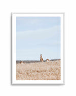 Country Kangaroo II Art Print-PRINT-Olive et Oriel-Olive et Oriel-A5 | 5.8" x 8.3" | 14.8 x 21cm-Unframed Art Print-With White Border-Buy-Australian-Art-Prints-Online-with-Olive-et-Oriel-Your-Artwork-Specialists-Austrailia-Decorate-With-Coastal-Photo-Wall-Art-Prints-From-Our-Beach-House-Artwork-Collection-Fine-Poster-and-Framed-Artwork