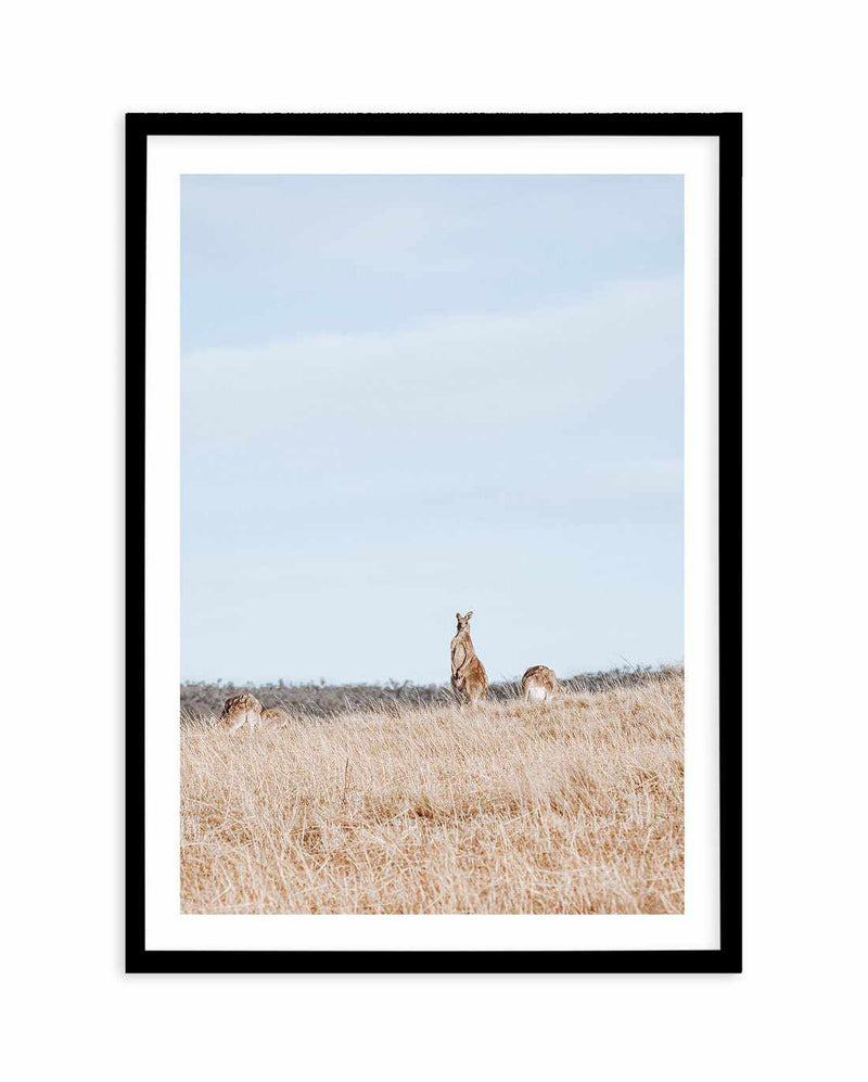 Country Kangaroo II Art Print-PRINT-Olive et Oriel-Olive et Oriel-A5 | 5.8" x 8.3" | 14.8 x 21cm-Black-With White Border-Buy-Australian-Art-Prints-Online-with-Olive-et-Oriel-Your-Artwork-Specialists-Austrailia-Decorate-With-Coastal-Photo-Wall-Art-Prints-From-Our-Beach-House-Artwork-Collection-Fine-Poster-and-Framed-Artwork