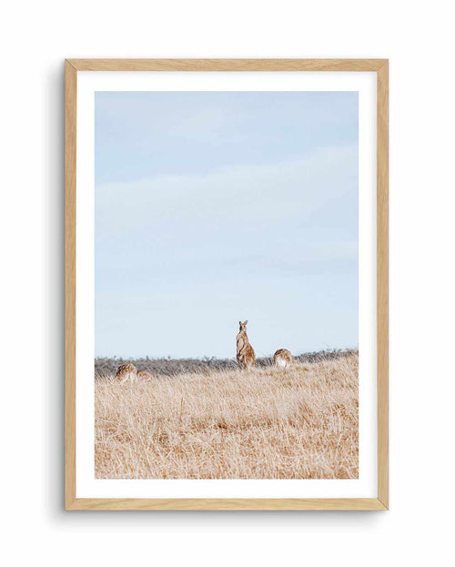 Country Kangaroo II Art Print-PRINT-Olive et Oriel-Olive et Oriel-A5 | 5.8" x 8.3" | 14.8 x 21cm-Oak-With White Border-Buy-Australian-Art-Prints-Online-with-Olive-et-Oriel-Your-Artwork-Specialists-Austrailia-Decorate-With-Coastal-Photo-Wall-Art-Prints-From-Our-Beach-House-Artwork-Collection-Fine-Poster-and-Framed-Artwork