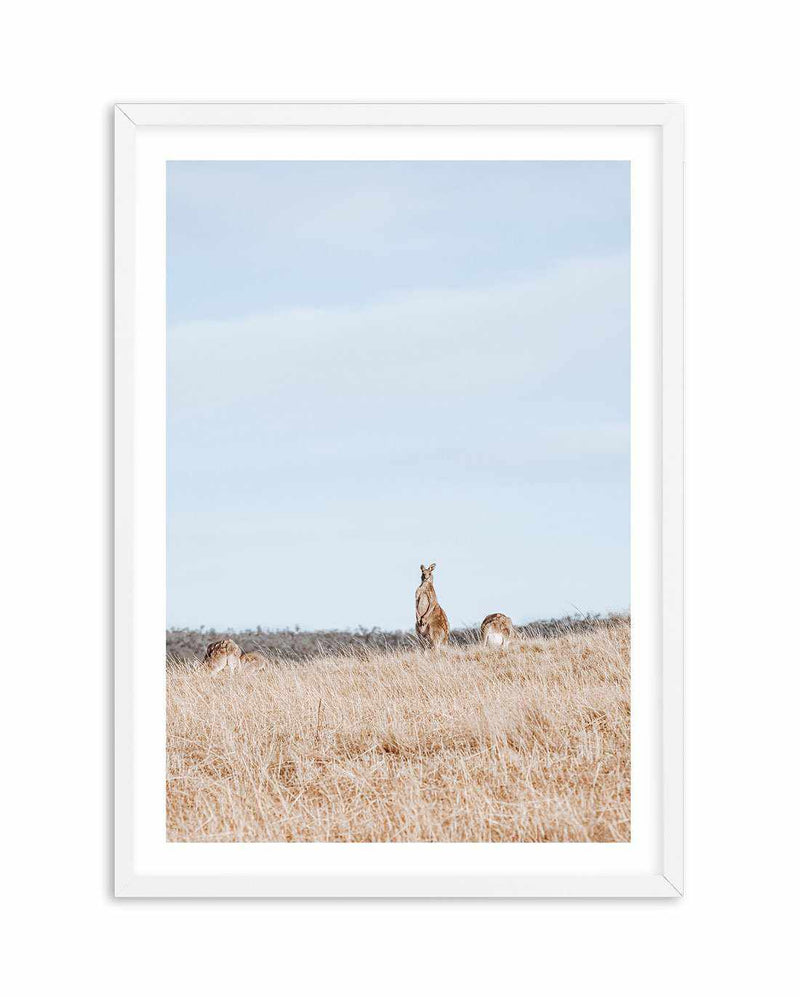 Country Kangaroo II Art Print-PRINT-Olive et Oriel-Olive et Oriel-A5 | 5.8" x 8.3" | 14.8 x 21cm-White-With White Border-Buy-Australian-Art-Prints-Online-with-Olive-et-Oriel-Your-Artwork-Specialists-Austrailia-Decorate-With-Coastal-Photo-Wall-Art-Prints-From-Our-Beach-House-Artwork-Collection-Fine-Poster-and-Framed-Artwork