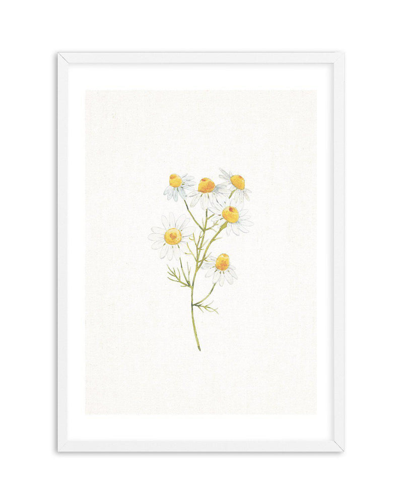 Daisies on Linen I Art Print-PRINT-Olive et Oriel-Olive et Oriel-A5 | 5.8" x 8.3" | 14.8 x 21cm-White-With White Border-Buy-Australian-Art-Prints-Online-with-Olive-et-Oriel-Your-Artwork-Specialists-Austrailia-Decorate-With-Coastal-Photo-Wall-Art-Prints-From-Our-Beach-House-Artwork-Collection-Fine-Poster-and-Framed-Artwork