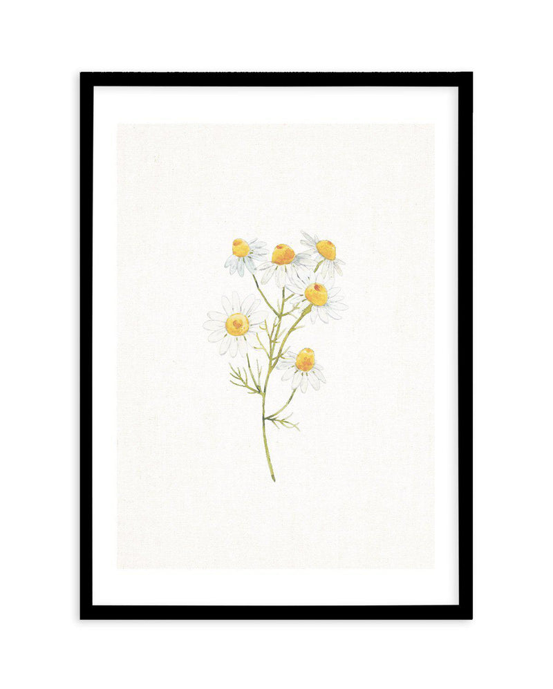 Daisies on Linen I Art Print-PRINT-Olive et Oriel-Olive et Oriel-A5 | 5.8" x 8.3" | 14.8 x 21cm-Black-With White Border-Buy-Australian-Art-Prints-Online-with-Olive-et-Oriel-Your-Artwork-Specialists-Austrailia-Decorate-With-Coastal-Photo-Wall-Art-Prints-From-Our-Beach-House-Artwork-Collection-Fine-Poster-and-Framed-Artwork