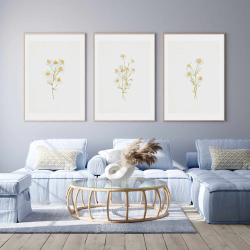 Daisies on Linen I Art Print-PRINT-Olive et Oriel-Olive et Oriel-Buy-Australian-Art-Prints-Online-with-Olive-et-Oriel-Your-Artwork-Specialists-Austrailia-Decorate-With-Coastal-Photo-Wall-Art-Prints-From-Our-Beach-House-Artwork-Collection-Fine-Poster-and-Framed-Artwork