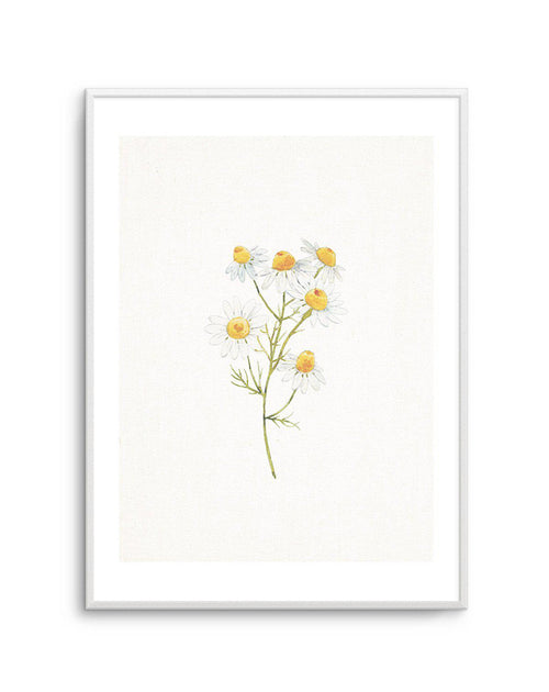 Daisies on Linen I Art Print-PRINT-Olive et Oriel-Olive et Oriel-A5 | 5.8" x 8.3" | 14.8 x 21cm-Unframed Art Print-With White Border-Buy-Australian-Art-Prints-Online-with-Olive-et-Oriel-Your-Artwork-Specialists-Austrailia-Decorate-With-Coastal-Photo-Wall-Art-Prints-From-Our-Beach-House-Artwork-Collection-Fine-Poster-and-Framed-Artwork
