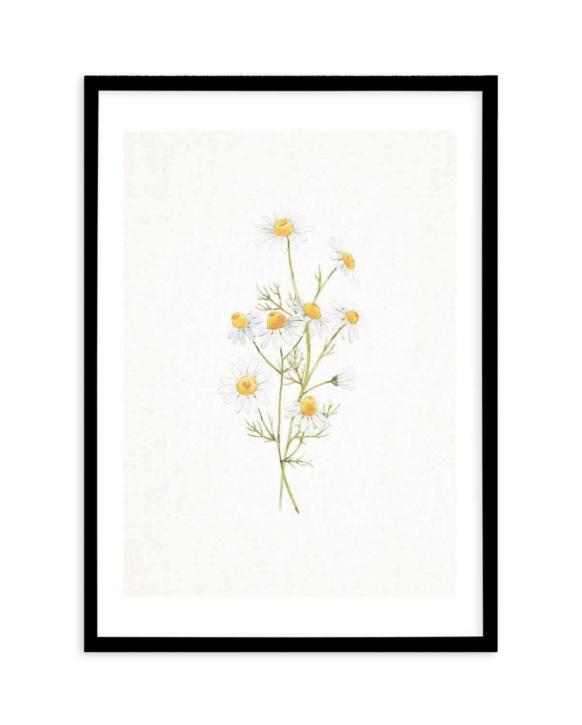 Daisies on Linen II Art Print-PRINT-Olive et Oriel-Olive et Oriel-A5 | 5.8" x 8.3" | 14.8 x 21cm-Black-With White Border-Buy-Australian-Art-Prints-Online-with-Olive-et-Oriel-Your-Artwork-Specialists-Austrailia-Decorate-With-Coastal-Photo-Wall-Art-Prints-From-Our-Beach-House-Artwork-Collection-Fine-Poster-and-Framed-Artwork