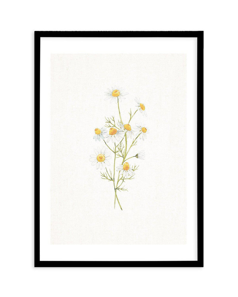 Daisies on Linen II Art Print-PRINT-Olive et Oriel-Olive et Oriel-A5 | 5.8" x 8.3" | 14.8 x 21cm-Black-With White Border-Buy-Australian-Art-Prints-Online-with-Olive-et-Oriel-Your-Artwork-Specialists-Austrailia-Decorate-With-Coastal-Photo-Wall-Art-Prints-From-Our-Beach-House-Artwork-Collection-Fine-Poster-and-Framed-Artwork