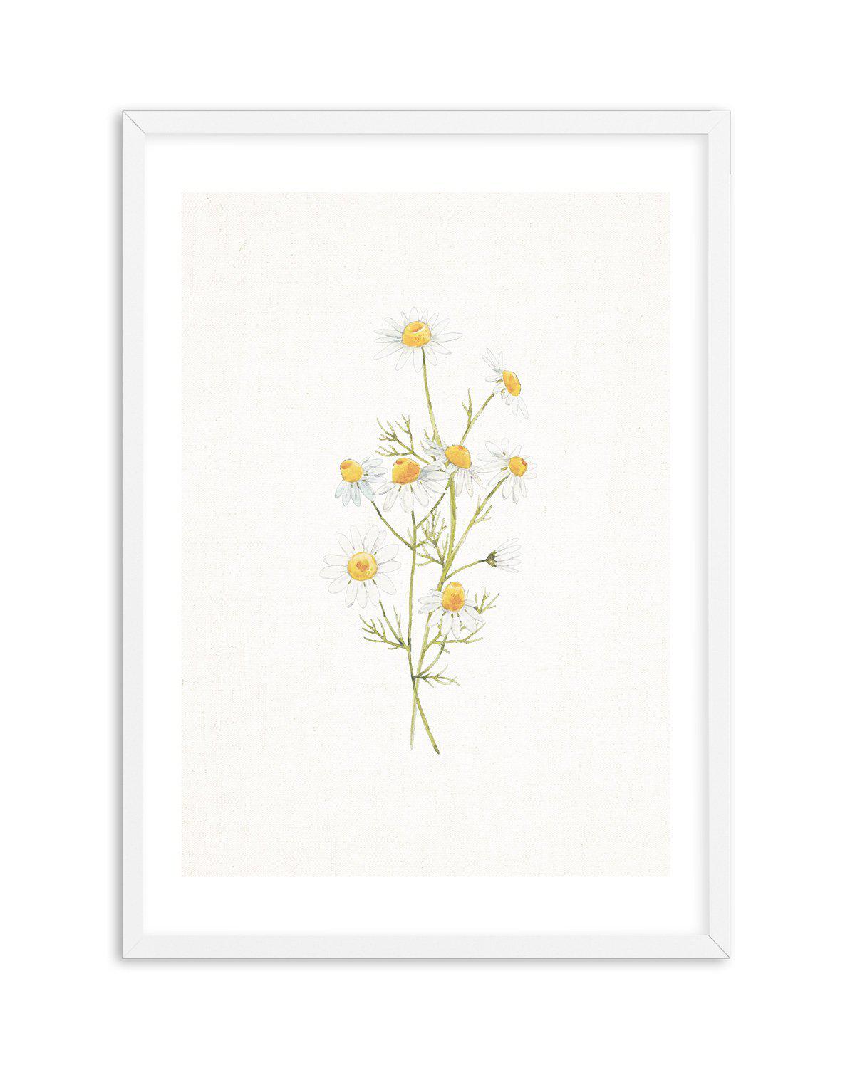 Daisies on Linen II Art Print-PRINT-Olive et Oriel-Olive et Oriel-A5 | 5.8" x 8.3" | 14.8 x 21cm-White-With White Border-Buy-Australian-Art-Prints-Online-with-Olive-et-Oriel-Your-Artwork-Specialists-Austrailia-Decorate-With-Coastal-Photo-Wall-Art-Prints-From-Our-Beach-House-Artwork-Collection-Fine-Poster-and-Framed-Artwork