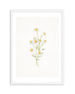Daisies on Linen II Art Print-PRINT-Olive et Oriel-Olive et Oriel-A5 | 5.8" x 8.3" | 14.8 x 21cm-White-With White Border-Buy-Australian-Art-Prints-Online-with-Olive-et-Oriel-Your-Artwork-Specialists-Austrailia-Decorate-With-Coastal-Photo-Wall-Art-Prints-From-Our-Beach-House-Artwork-Collection-Fine-Poster-and-Framed-Artwork
