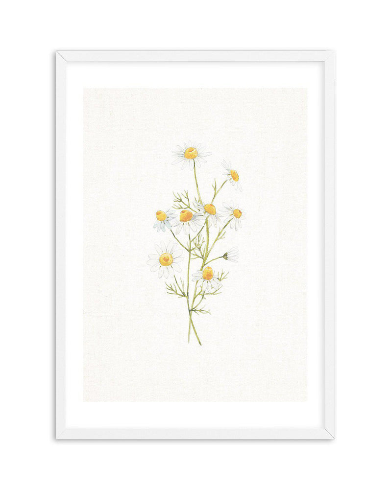 Daisies on Linen II Art Print-PRINT-Olive et Oriel-Olive et Oriel-A5 | 5.8" x 8.3" | 14.8 x 21cm-White-With White Border-Buy-Australian-Art-Prints-Online-with-Olive-et-Oriel-Your-Artwork-Specialists-Austrailia-Decorate-With-Coastal-Photo-Wall-Art-Prints-From-Our-Beach-House-Artwork-Collection-Fine-Poster-and-Framed-Artwork