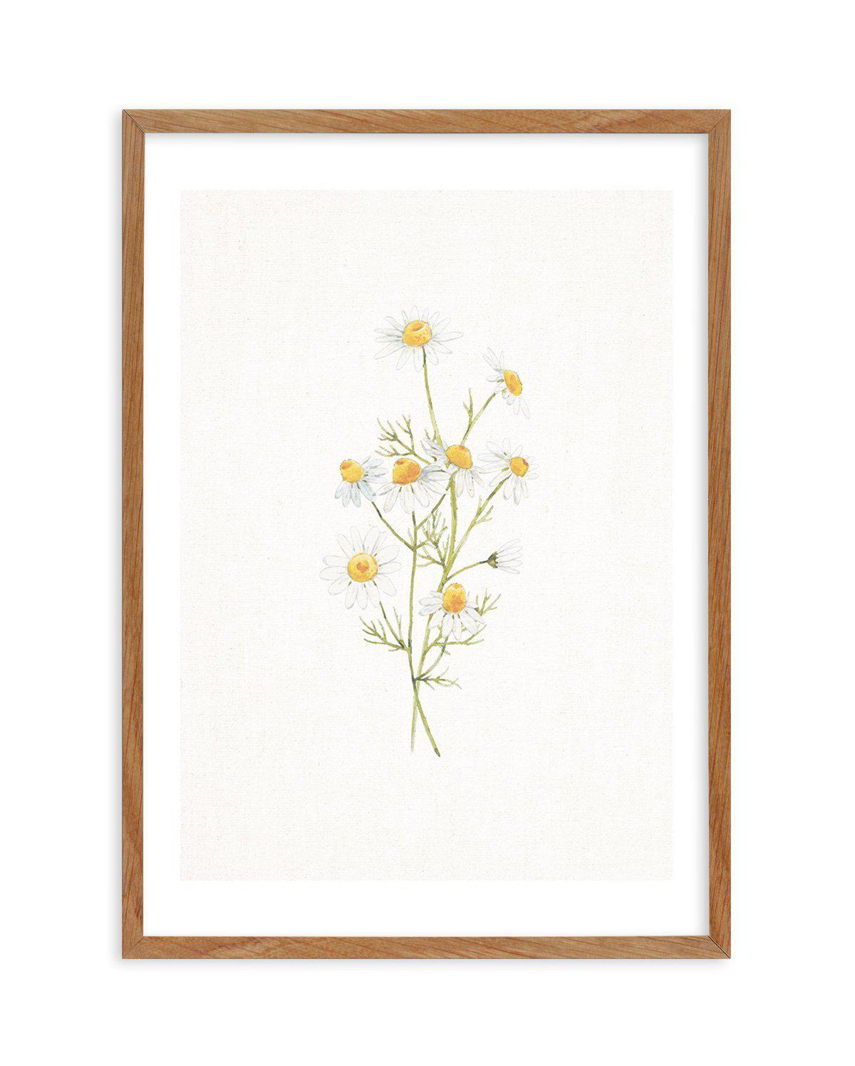 Daisies on Linen II Art Print-PRINT-Olive et Oriel-Olive et Oriel-50x70 cm | 19.6" x 27.5"-Walnut-With White Border-Buy-Australian-Art-Prints-Online-with-Olive-et-Oriel-Your-Artwork-Specialists-Austrailia-Decorate-With-Coastal-Photo-Wall-Art-Prints-From-Our-Beach-House-Artwork-Collection-Fine-Poster-and-Framed-Artwork