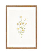 Daisies on Linen II Art Print-PRINT-Olive et Oriel-Olive et Oriel-50x70 cm | 19.6" x 27.5"-Walnut-With White Border-Buy-Australian-Art-Prints-Online-with-Olive-et-Oriel-Your-Artwork-Specialists-Austrailia-Decorate-With-Coastal-Photo-Wall-Art-Prints-From-Our-Beach-House-Artwork-Collection-Fine-Poster-and-Framed-Artwork