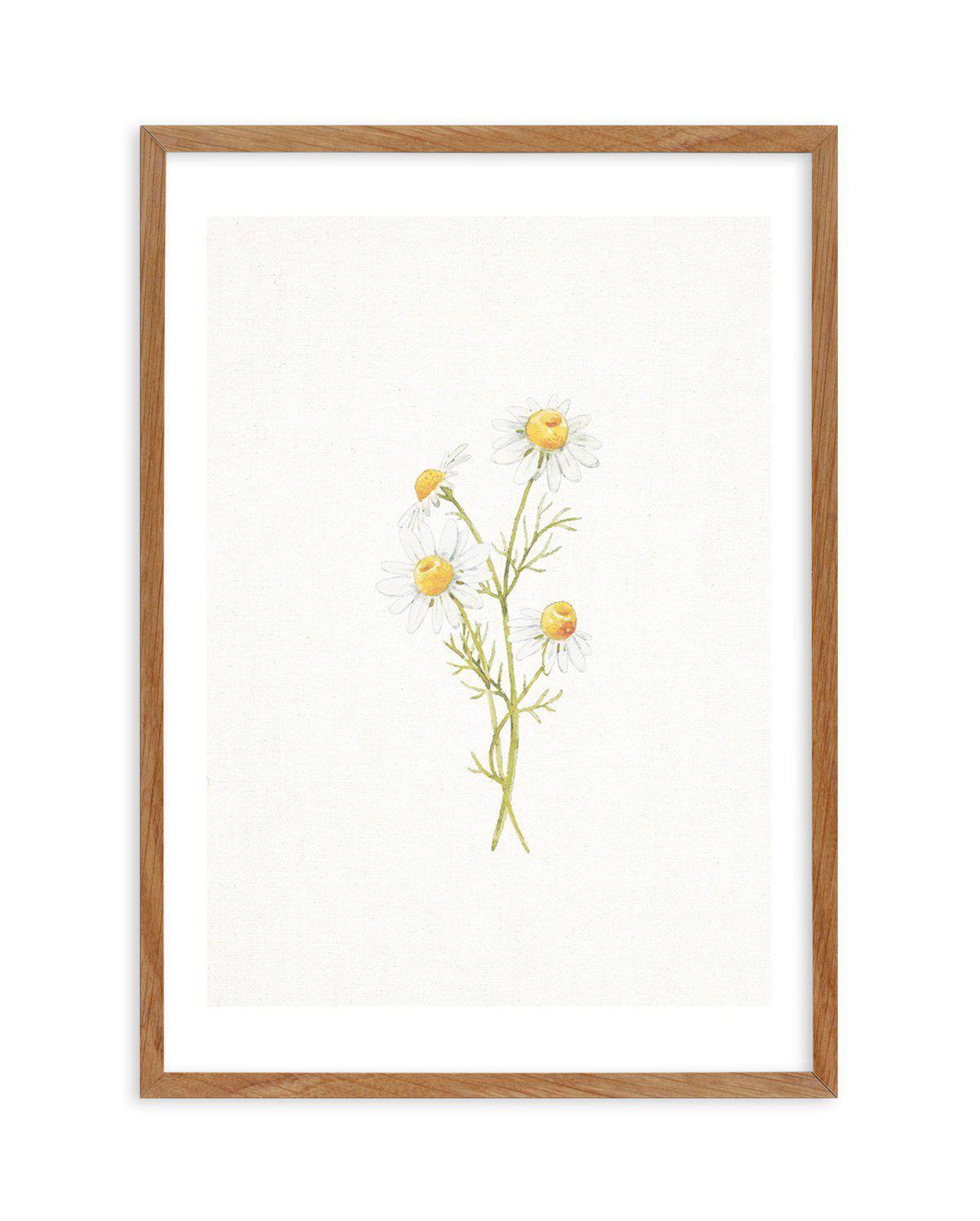 Daisies on Linen III Art Print-PRINT-Olive et Oriel-Olive et Oriel-50x70 cm | 19.6" x 27.5"-Walnut-With White Border-Buy-Australian-Art-Prints-Online-with-Olive-et-Oriel-Your-Artwork-Specialists-Austrailia-Decorate-With-Coastal-Photo-Wall-Art-Prints-From-Our-Beach-House-Artwork-Collection-Fine-Poster-and-Framed-Artwork