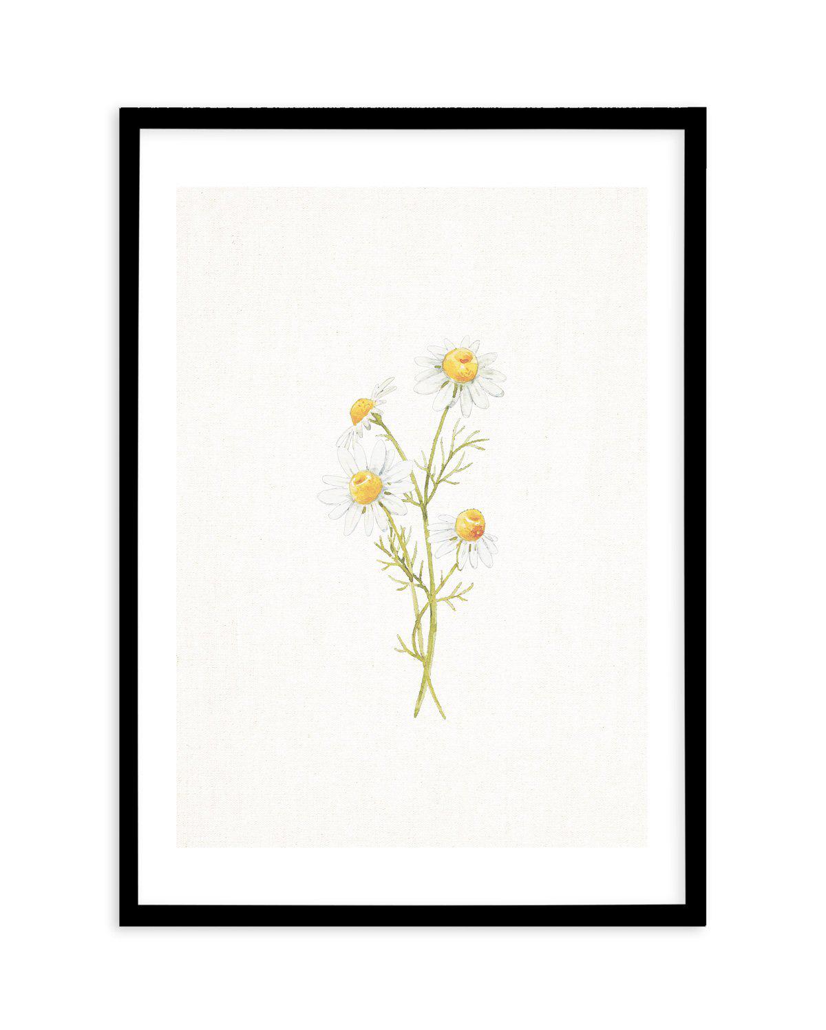 Daisies on Linen III Art Print-PRINT-Olive et Oriel-Olive et Oriel-A5 | 5.8" x 8.3" | 14.8 x 21cm-Black-With White Border-Buy-Australian-Art-Prints-Online-with-Olive-et-Oriel-Your-Artwork-Specialists-Austrailia-Decorate-With-Coastal-Photo-Wall-Art-Prints-From-Our-Beach-House-Artwork-Collection-Fine-Poster-and-Framed-Artwork