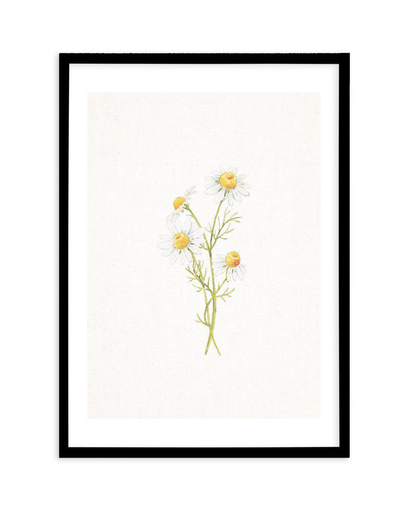 Daisies on Linen III Art Print-PRINT-Olive et Oriel-Olive et Oriel-A5 | 5.8" x 8.3" | 14.8 x 21cm-Black-With White Border-Buy-Australian-Art-Prints-Online-with-Olive-et-Oriel-Your-Artwork-Specialists-Austrailia-Decorate-With-Coastal-Photo-Wall-Art-Prints-From-Our-Beach-House-Artwork-Collection-Fine-Poster-and-Framed-Artwork