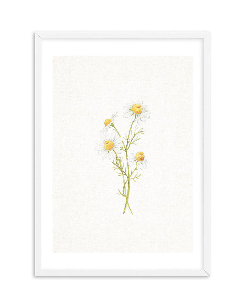 Daisies on Linen III Art Print-PRINT-Olive et Oriel-Olive et Oriel-A5 | 5.8" x 8.3" | 14.8 x 21cm-White-With White Border-Buy-Australian-Art-Prints-Online-with-Olive-et-Oriel-Your-Artwork-Specialists-Austrailia-Decorate-With-Coastal-Photo-Wall-Art-Prints-From-Our-Beach-House-Artwork-Collection-Fine-Poster-and-Framed-Artwork