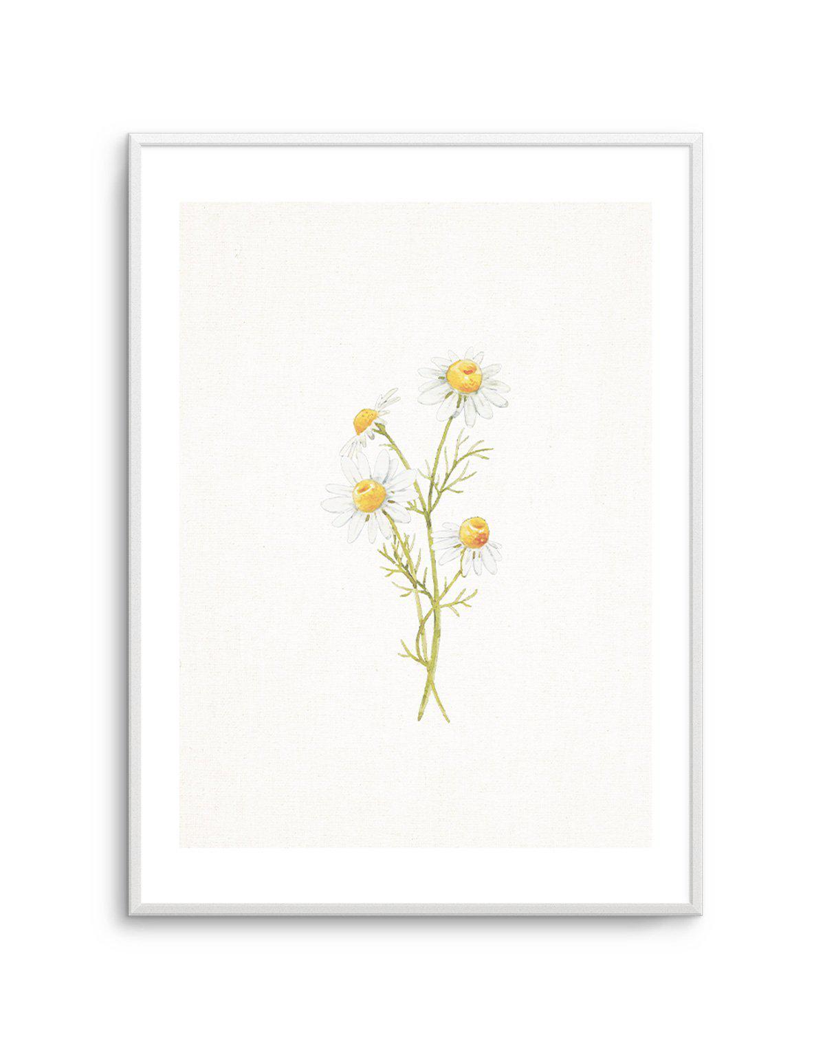 Daisies on Linen III Art Print-PRINT-Olive et Oriel-Olive et Oriel-A5 | 5.8" x 8.3" | 14.8 x 21cm-Unframed Art Print-With White Border-Buy-Australian-Art-Prints-Online-with-Olive-et-Oriel-Your-Artwork-Specialists-Austrailia-Decorate-With-Coastal-Photo-Wall-Art-Prints-From-Our-Beach-House-Artwork-Collection-Fine-Poster-and-Framed-Artwork