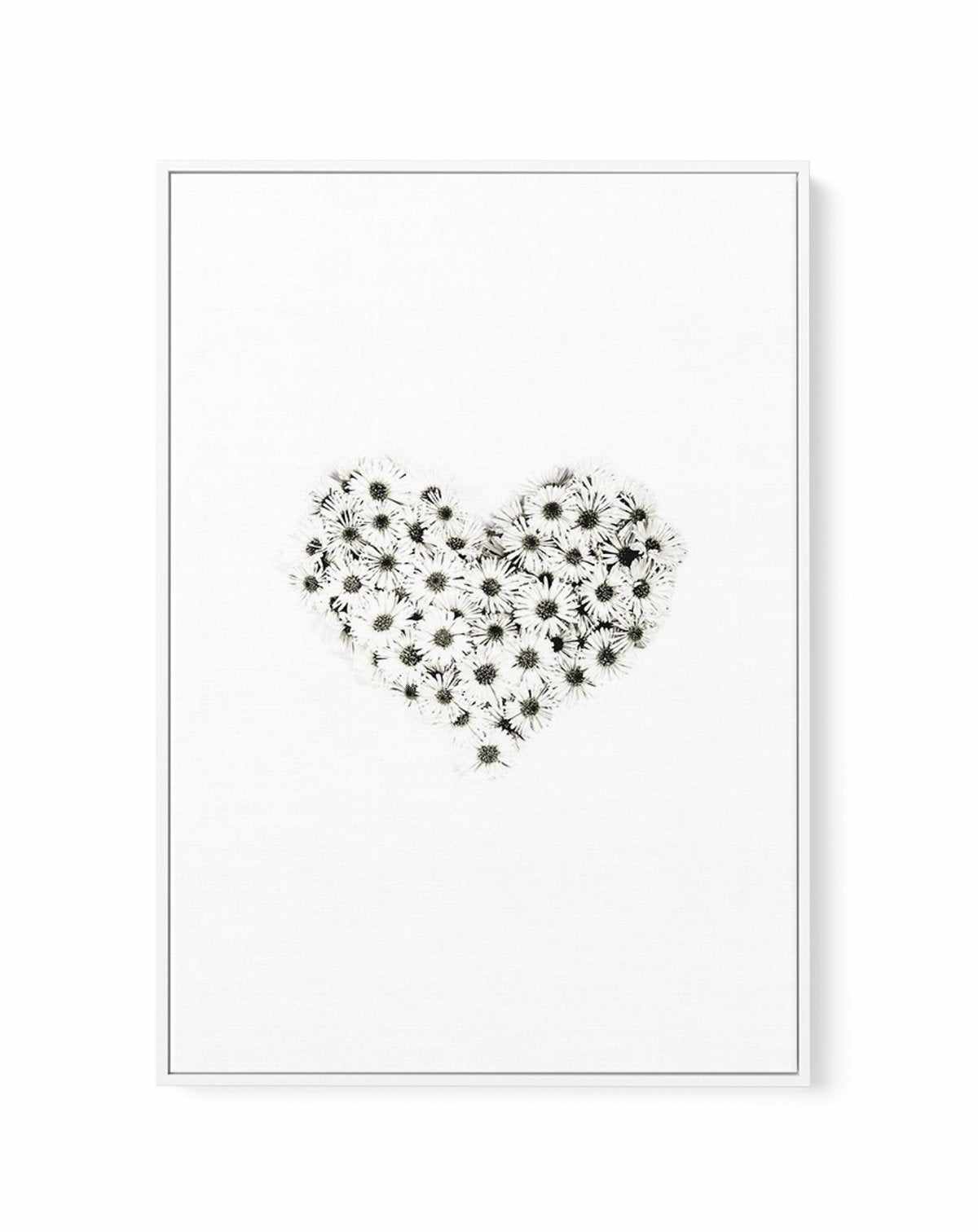 Daisy Heart | Framed Canvas-CANVAS-You can shop wall art online with Olive et Oriel for everything from abstract art to fun kids wall art. Our beautiful modern art prints and canvas art are available from large canvas prints to wall art paintings and our proudly Australian artwork collection offers only the highest quality framed large wall art and canvas art Australia - You can buy fashion photography prints or Hampton print posters and paintings on canvas from Olive et Oriel and have them deli