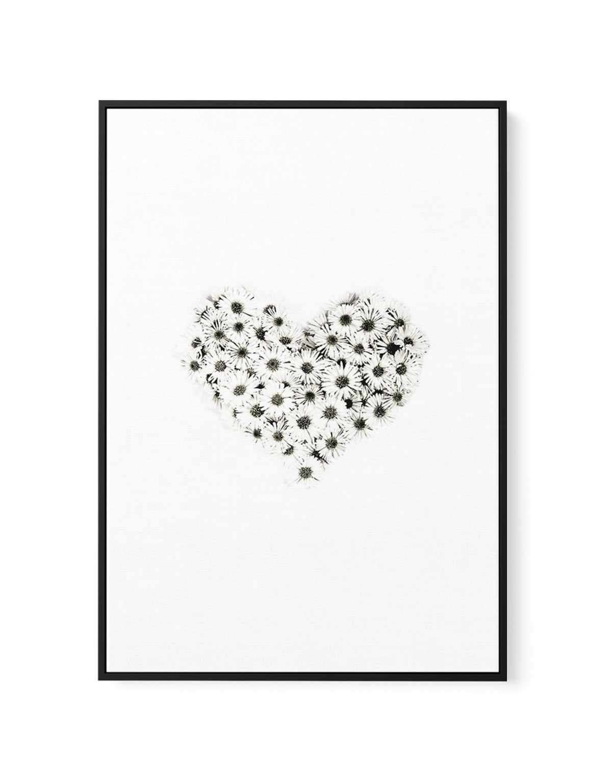 Daisy Heart | Framed Canvas-CANVAS-You can shop wall art online with Olive et Oriel for everything from abstract art to fun kids wall art. Our beautiful modern art prints and canvas art are available from large canvas prints to wall art paintings and our proudly Australian artwork collection offers only the highest quality framed large wall art and canvas art Australia - You can buy fashion photography prints or Hampton print posters and paintings on canvas from Olive et Oriel and have them deli