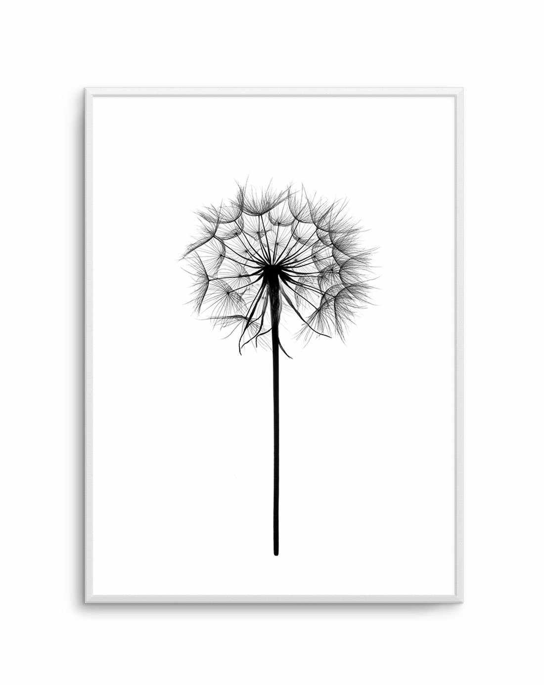 Dandelion Art Print-PRINT-Olive et Oriel-Olive et Oriel-A5 | 5.8" x 8.3" | 14.8 x 21cm-Unframed Art Print-With White Border-Buy-Australian-Art-Prints-Online-with-Olive-et-Oriel-Your-Artwork-Specialists-Austrailia-Decorate-With-Coastal-Photo-Wall-Art-Prints-From-Our-Beach-House-Artwork-Collection-Fine-Poster-and-Framed-Artwork