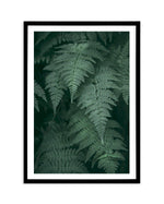 Dark Green Ferns Art Print-PRINT-Olive et Oriel-Olive et Oriel-A4 | 8.3" x 11.7" | 21 x 29.7cm-Black-With White Border-Buy-Australian-Art-Prints-Online-with-Olive-et-Oriel-Your-Artwork-Specialists-Austrailia-Decorate-With-Coastal-Photo-Wall-Art-Prints-From-Our-Beach-House-Artwork-Collection-Fine-Poster-and-Framed-Artwork