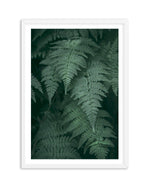 Dark Green Ferns Art Print-PRINT-Olive et Oriel-Olive et Oriel-A4 | 8.3" x 11.7" | 21 x 29.7cm-White-With White Border-Buy-Australian-Art-Prints-Online-with-Olive-et-Oriel-Your-Artwork-Specialists-Austrailia-Decorate-With-Coastal-Photo-Wall-Art-Prints-From-Our-Beach-House-Artwork-Collection-Fine-Poster-and-Framed-Artwork