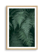 Dark Green Ferns Art Print-PRINT-Olive et Oriel-Olive et Oriel-A4 | 8.3" x 11.7" | 21 x 29.7cm-Oak-With White Border-Buy-Australian-Art-Prints-Online-with-Olive-et-Oriel-Your-Artwork-Specialists-Austrailia-Decorate-With-Coastal-Photo-Wall-Art-Prints-From-Our-Beach-House-Artwork-Collection-Fine-Poster-and-Framed-Artwork
