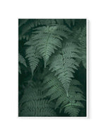 Dark Green Ferns | Framed Canvas-CANVAS-You can shop wall art online with Olive et Oriel for everything from abstract art to fun kids wall art. Our beautiful modern art prints and canvas art are available from large canvas prints to wall art paintings and our proudly Australian artwork collection offers only the highest quality framed large wall art and canvas art Australia - You can buy fashion photography prints or Hampton print posters and paintings on canvas from Olive et Oriel and have them
