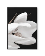 Dark Magnolia I | PT | Framed Canvas-CANVAS-You can shop wall art online with Olive et Oriel for everything from abstract art to fun kids wall art. Our beautiful modern art prints and canvas art are available from large canvas prints to wall art paintings and our proudly Australian artwork collection offers only the highest quality framed large wall art and canvas art Australia - You can buy fashion photography prints or Hampton print posters and paintings on canvas from Olive et Oriel and have 