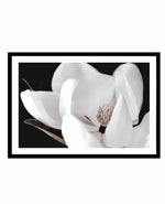Dark Magnolia I | LS Art Print-PRINT-Olive et Oriel-Olive et Oriel-A4 | 8.3" x 11.7" | 21 x 29.7cm-Black-With White Border-Buy-Australian-Art-Prints-Online-with-Olive-et-Oriel-Your-Artwork-Specialists-Austrailia-Decorate-With-Coastal-Photo-Wall-Art-Prints-From-Our-Beach-House-Artwork-Collection-Fine-Poster-and-Framed-Artwork