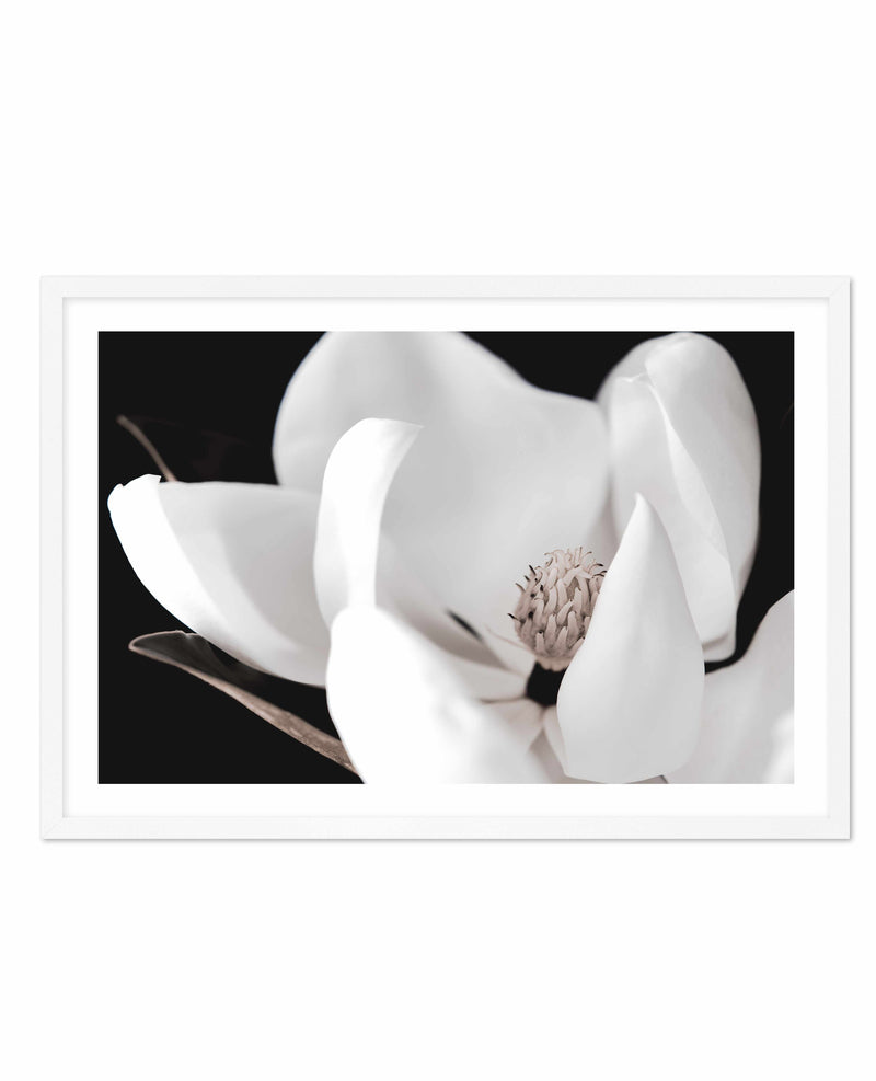 Dark Magnolia I | LS Art Print-PRINT-Olive et Oriel-Olive et Oriel-A4 | 8.3" x 11.7" | 21 x 29.7cm-White-With White Border-Buy-Australian-Art-Prints-Online-with-Olive-et-Oriel-Your-Artwork-Specialists-Austrailia-Decorate-With-Coastal-Photo-Wall-Art-Prints-From-Our-Beach-House-Artwork-Collection-Fine-Poster-and-Framed-Artwork