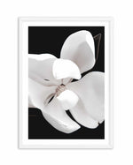 Dark Magnolia II | PT Art Print-PRINT-Olive et Oriel-Olive et Oriel-A4 | 8.3" x 11.7" | 21 x 29.7cm-White-With White Border-Buy-Australian-Art-Prints-Online-with-Olive-et-Oriel-Your-Artwork-Specialists-Austrailia-Decorate-With-Coastal-Photo-Wall-Art-Prints-From-Our-Beach-House-Artwork-Collection-Fine-Poster-and-Framed-Artwork