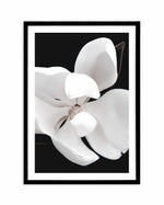 Dark Magnolia II | PT Art Print-PRINT-Olive et Oriel-Olive et Oriel-A4 | 8.3" x 11.7" | 21 x 29.7cm-Black-With White Border-Buy-Australian-Art-Prints-Online-with-Olive-et-Oriel-Your-Artwork-Specialists-Austrailia-Decorate-With-Coastal-Photo-Wall-Art-Prints-From-Our-Beach-House-Artwork-Collection-Fine-Poster-and-Framed-Artwork