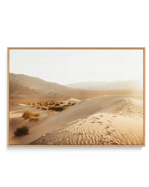 Desert Sunsets I | Framed Canvas-CANVAS-You can shop wall art online with Olive et Oriel for everything from abstract art to fun kids wall art. Our beautiful modern art prints and canvas art are available from large canvas prints to wall art paintings and our proudly Australian artwork collection offers only the highest quality framed large wall art and canvas art Australia - You can buy fashion photography prints or Hampton print posters and paintings on canvas from Olive et Oriel and have them
