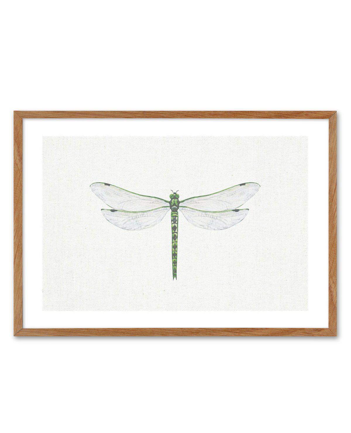 Dragonfly on Linen II Art Print-PRINT-Olive et Oriel-Olive et Oriel-50x70 cm | 19.6" x 27.5"-Walnut-With White Border-Buy-Australian-Art-Prints-Online-with-Olive-et-Oriel-Your-Artwork-Specialists-Austrailia-Decorate-With-Coastal-Photo-Wall-Art-Prints-From-Our-Beach-House-Artwork-Collection-Fine-Poster-and-Framed-Artwork