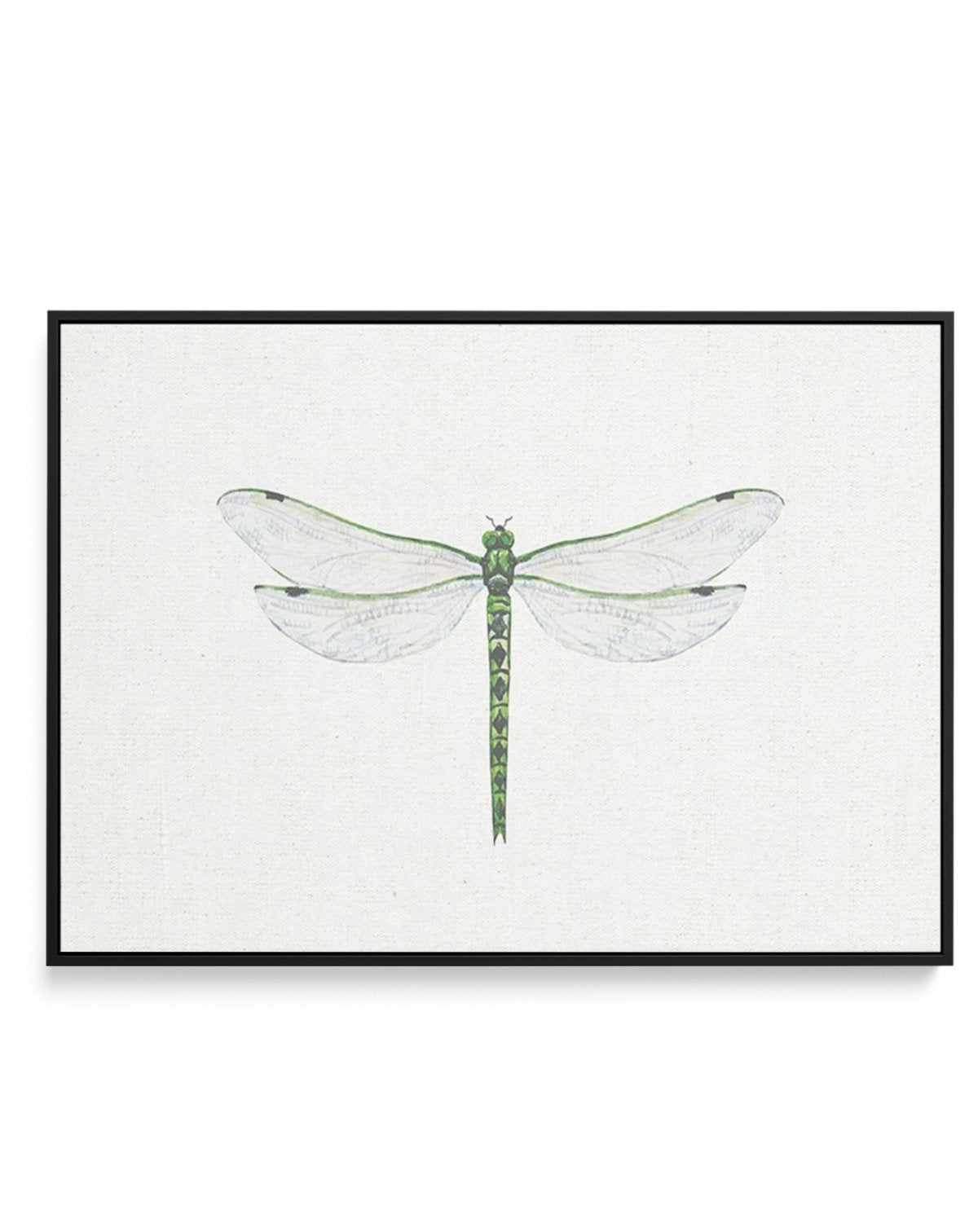 Dragonfly on Linen II | Framed Canvas-CANVAS-You can shop wall art online with Olive et Oriel for everything from abstract art to fun kids wall art. Our beautiful modern art prints and canvas art are available from large canvas prints to wall art paintings and our proudly Australian artwork collection offers only the highest quality framed large wall art and canvas art Australia - You can buy fashion photography prints or Hampton print posters and paintings on canvas from Olive et Oriel and have