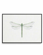 Dragonfly on Linen II | Framed Canvas-CANVAS-You can shop wall art online with Olive et Oriel for everything from abstract art to fun kids wall art. Our beautiful modern art prints and canvas art are available from large canvas prints to wall art paintings and our proudly Australian artwork collection offers only the highest quality framed large wall art and canvas art Australia - You can buy fashion photography prints or Hampton print posters and paintings on canvas from Olive et Oriel and have