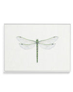 Dragonfly on Linen II | Framed Canvas-CANVAS-You can shop wall art online with Olive et Oriel for everything from abstract art to fun kids wall art. Our beautiful modern art prints and canvas art are available from large canvas prints to wall art paintings and our proudly Australian artwork collection offers only the highest quality framed large wall art and canvas art Australia - You can buy fashion photography prints or Hampton print posters and paintings on canvas from Olive et Oriel and have