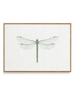 Dragonfly on Linen II | Framed Canvas-CANVAS-You can shop wall art online with Olive et Oriel for everything from abstract art to fun kids wall art. Our beautiful modern art prints and canvas art are available from large canvas prints to wall art paintings and our proudly Australian artwork collection offers only the highest quality framed large wall art and canvas art Australia - You can buy fashion photography prints or Hampton print posters and paintings on canvas from Olive et Oriel and have