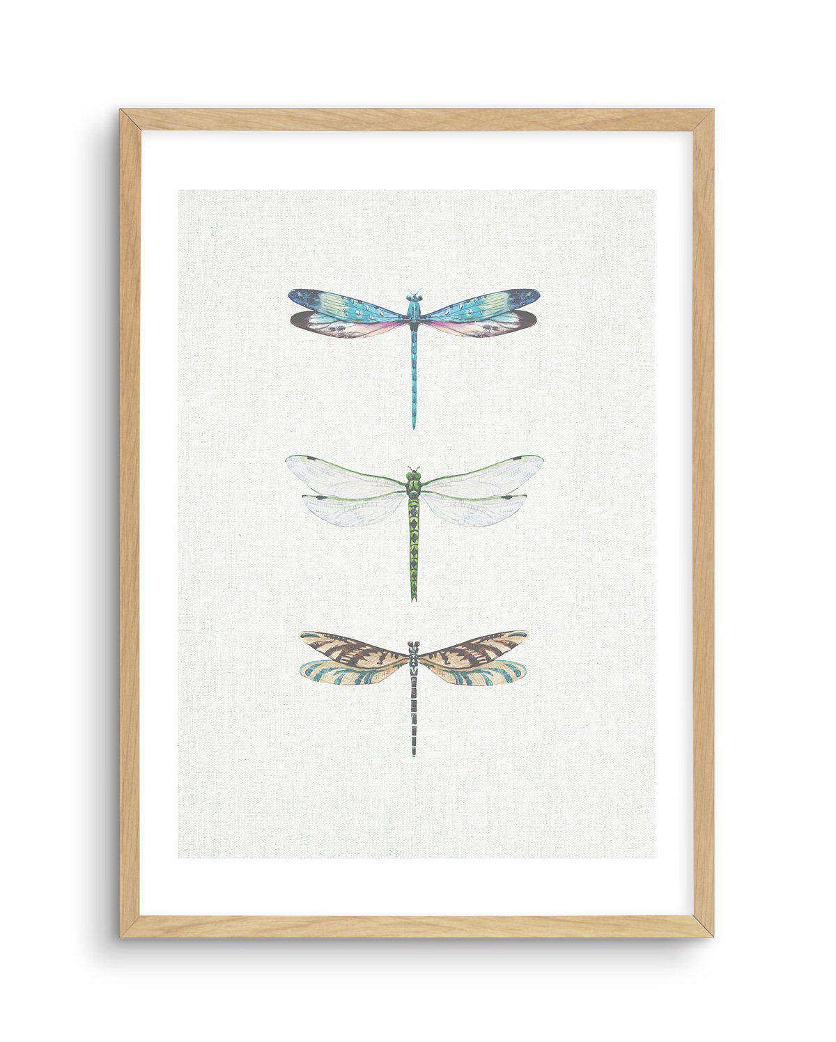 Dragonfly on Linen | PT Art Print-PRINT-Olive et Oriel-Olive et Oriel-A5 | 5.8" x 8.3" | 14.8 x 21cm-Oak-With White Border-Buy-Australian-Art-Prints-Online-with-Olive-et-Oriel-Your-Artwork-Specialists-Austrailia-Decorate-With-Coastal-Photo-Wall-Art-Prints-From-Our-Beach-House-Artwork-Collection-Fine-Poster-and-Framed-Artwork