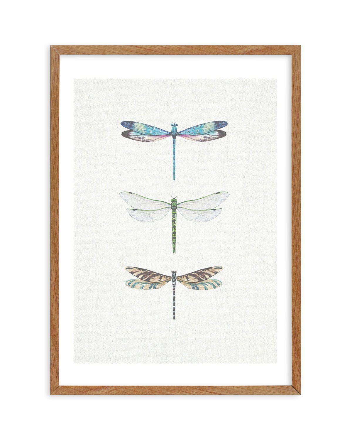 Dragonfly on Linen | PT Art Print-PRINT-Olive et Oriel-Olive et Oriel-50x70 cm | 19.6" x 27.5"-Walnut-With White Border-Buy-Australian-Art-Prints-Online-with-Olive-et-Oriel-Your-Artwork-Specialists-Austrailia-Decorate-With-Coastal-Photo-Wall-Art-Prints-From-Our-Beach-House-Artwork-Collection-Fine-Poster-and-Framed-Artwork